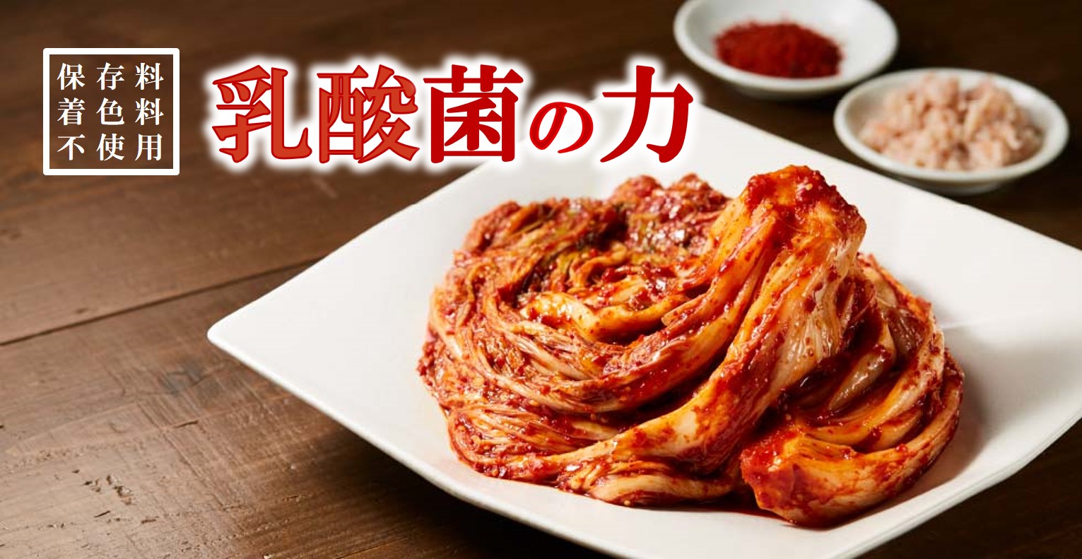 乳酸菌のチカラ